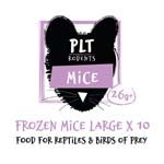 PLT Frozen Large Mice 26g+