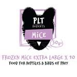 PLT Frozen Mice X-Large 30g+