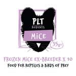 PLT Frozen Ex-breeder Mice 35g+