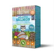 *NOT INSTORE* Little Big Paw Senior Atlantic Salmon