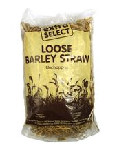 {HHOB} Extra Select Loose Barley Straw (Large)