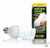 Exo Terra Natural Light Compact Bulb