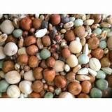 *NOT INSTORE* Johnston & Jeff Young Bird Mix 20kg