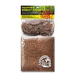 Exo Terra Equatorial Forest Floor Dual Layer