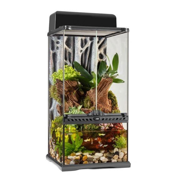 *NOT INSTORE* Exo Terra Paludarium Mini/X-Tall