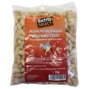 Extra Select Peanuts in Shells 500g