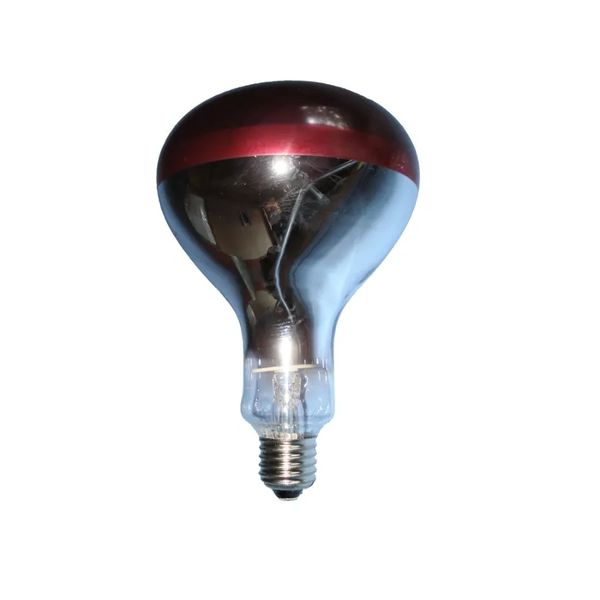 *NOT INSTORE* 250W Infra Red Heat Bulb