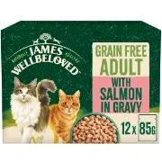 *NOT INSTORE* James Wellbeloved Grain Free Adult Salmon in Gravy (12 x 85g)