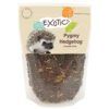 *NOT INSTORE* NG Exotics Pygmy Hedgehog Complete