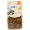 *NOT INSTORE* NG Exotics Insect Treat 35g