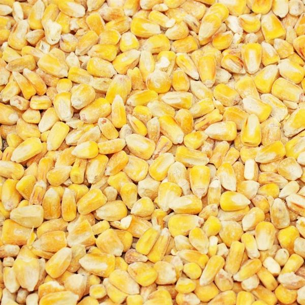 *NOT INSTORE* Whole Maize 20kg