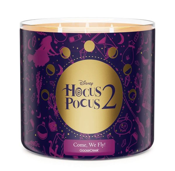 Goose Creek Come, We Fly Hocus pocus 3 Wick Candle Village Candle Addicts