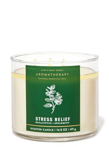 Bath &amp; Body Works Aromatherapy Stress Relief Eucalyptus &amp; Spearmint