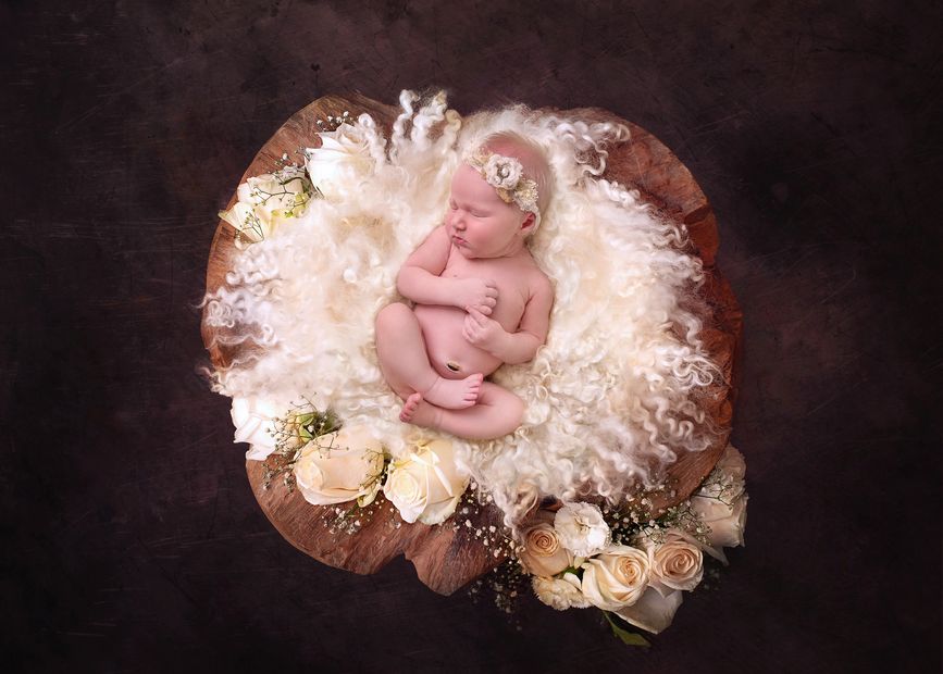 Sleeping newborn baby surrounded by soft white wool and roses, laying in a carved brown bowl