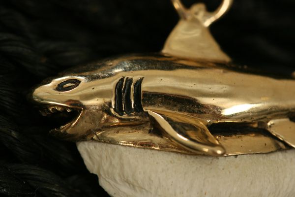 Great White Shark Tooth Pendant – Mark James Designs