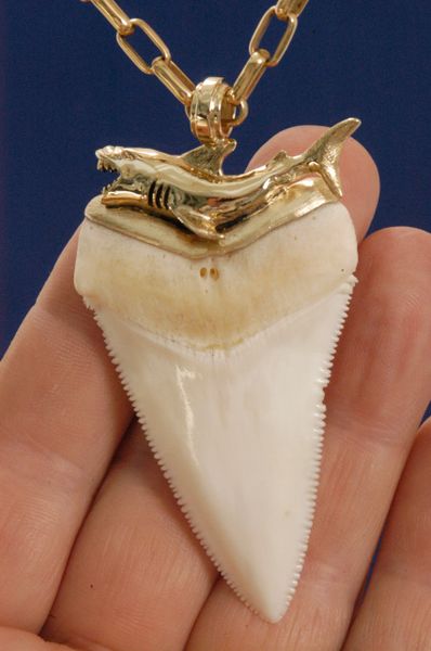 14K Great White Shark Tooth Pendant - Nautical Jewelry Originals