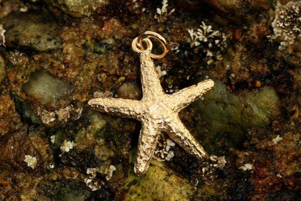 Starfish Pendant in 14K Gold - Small