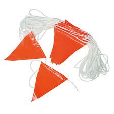 Flag Pennant String, Orange 100'