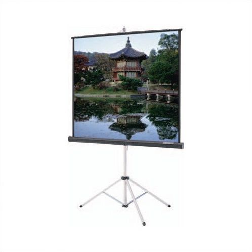 Projector Screen 70"