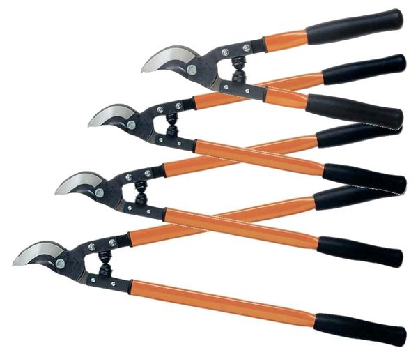 Lopper Shears, Pruning