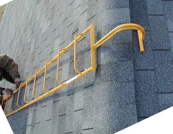 roof ladder with hooks