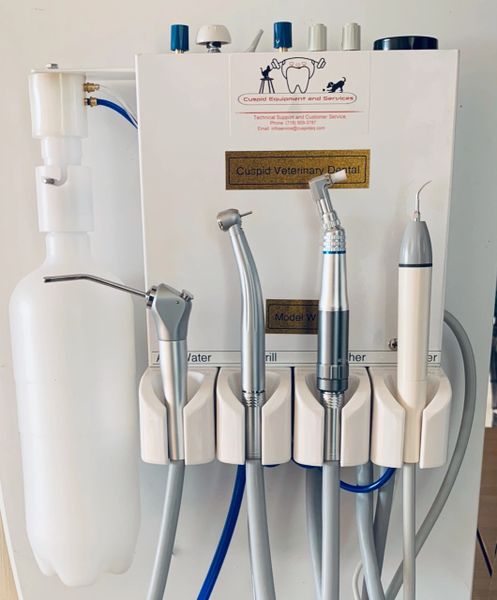 pod Dental System – Veterinary Dental Supplies