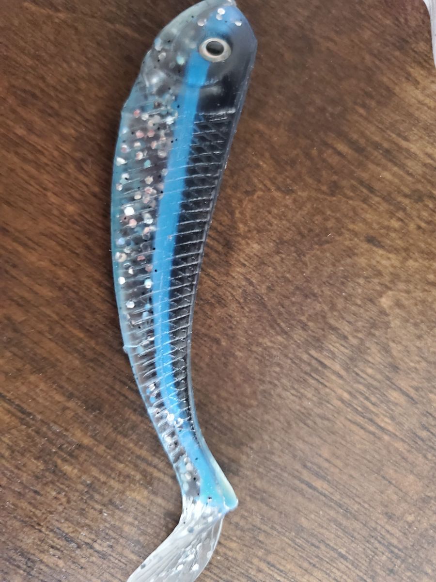 medium premium rock fish swimbait blue magic