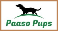 Paaso Pups