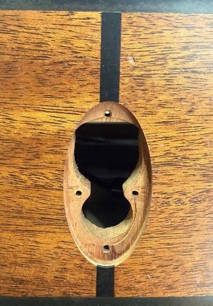 Expression Plug (Taylor Acoustic Guitars) | Shaw Woodshop