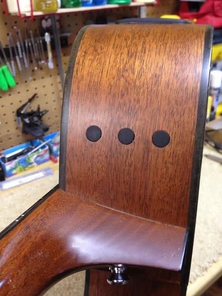 Amazon.co.jp: Taylor Guitars ベビーギグバッグ、タン : 楽器