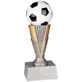 soccer award
