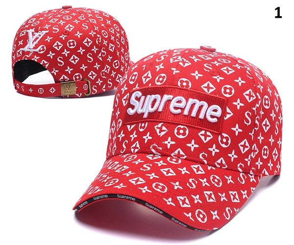 Supreme Lv Beanie