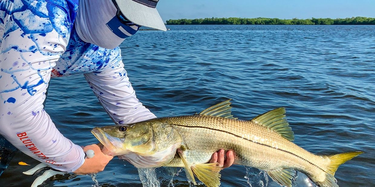 Boca Grande snook fishing charter