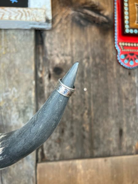 Silver Fidget Ring