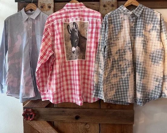 CLEARANCE Donkey Dolly Estelle Flannel Shirt