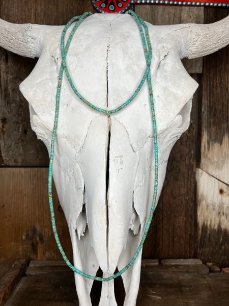 Long Turquoise Bead necklace