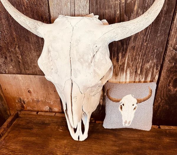 Cow Skull Pillow