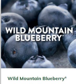 Green mountain hotsell wild blueberry coffee