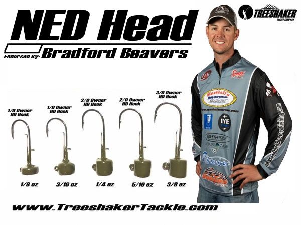 Bradford Beavers NED Head