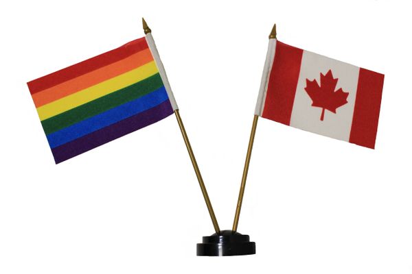 CANADA & GAY And LESBIAN PRIDE Rainbow 4" X 6" Inch Mini DOUBLE STICK FLAG BANNER On A 10 Inch PLASTIC POLE