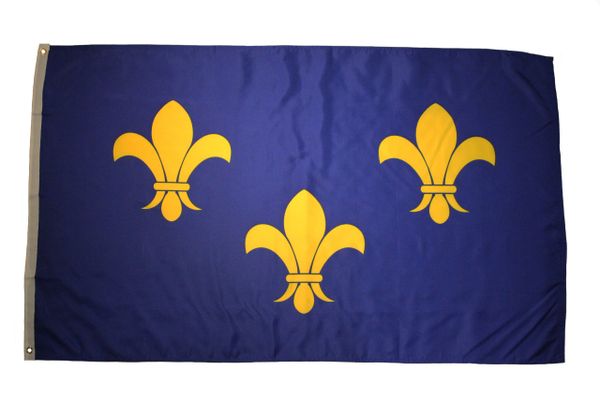 FLEUR DE LIS Large 3' x 5' Feet FLAG BANNER