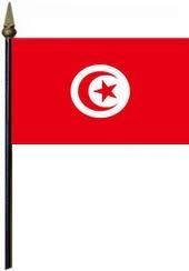 TUNISIA LARGE 12" X 18" INCHES COUNTRY STICK FLAG ON 2 FOOT WOODEN STICK .. NEW AND IN A PACKAGE