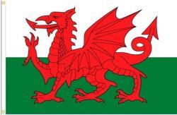 WALES LARGE 3' X 5' FEET COUNTRY FLAG BANNER .. NEW AND IN A PACKAGE