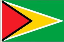 GUYANA LARGE 3' X 5' FEET COUNTRY FLAG BANNER .. NEW AND IN A PACKAGE