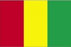 GUINEA 3' X 5' FEET COUNTRY FLAG BANNER .. NEW AND IN A PACKAGE