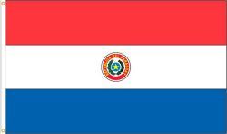 PARAGUAY 3' X 5' FEET COUNTRY FLAG BANNER .. NEW AND IN A PACKAGE
