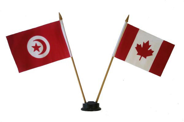 TUNISIA & CANADA SMALL 4" X 6" INCHES MINI DOUBLE COUNTRY STICK FLAG BANNER ON A 10 INCHES PLASTIC POLE .. NEW AND IN A PACKAGE