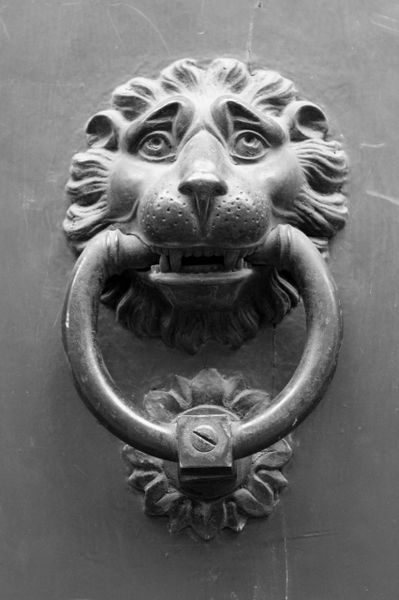 Knock Knock..Hello Mr. Lion