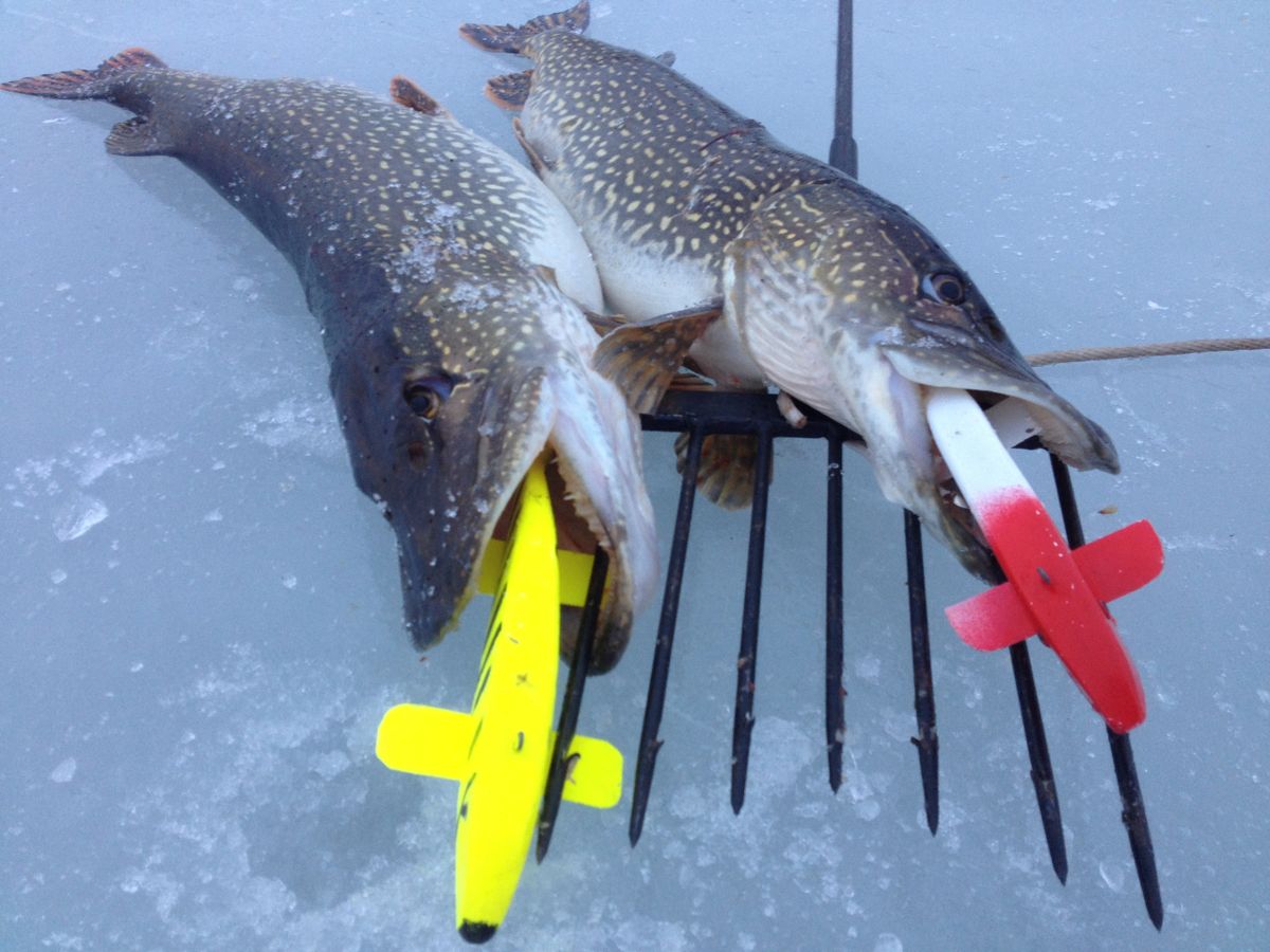 Pike Buster 1000, Pike Spearing, Spearing Decoys, Ice Fishing