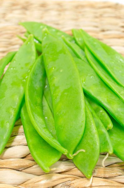 Oregon Giant Snow Pea The Naked Seed Company My Xxx Hot Girl